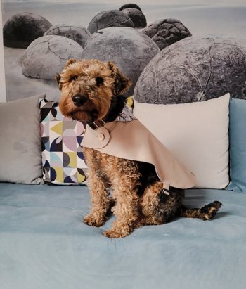 Drop & wind" coat - Image 9