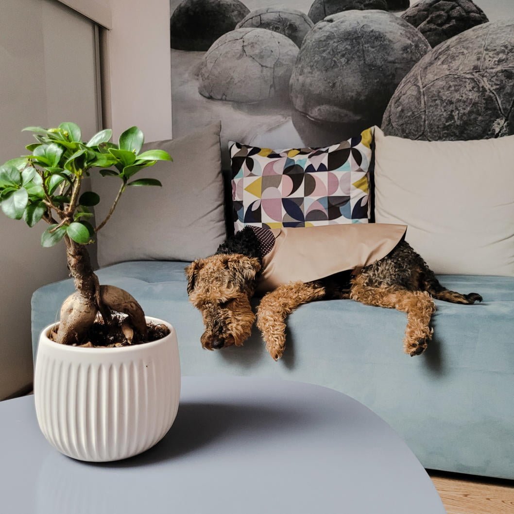 Der Mantel "Drop & Wind" – Bild 9