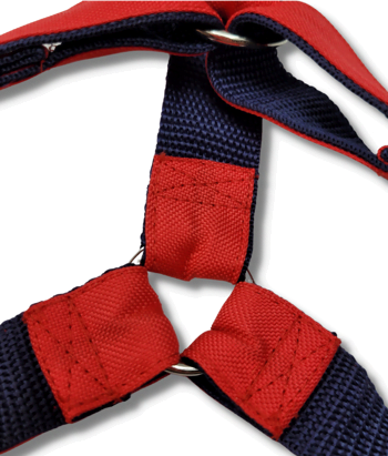GUARD type Harness - Image 3